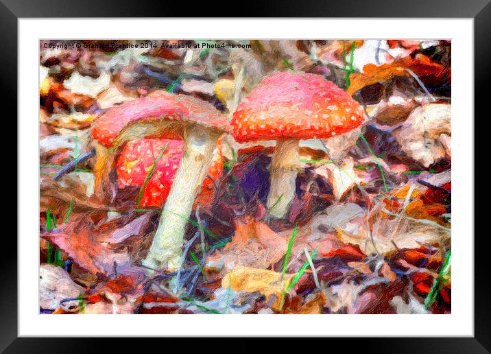 Magic Mushrooms Framed Mounted Print by Graham Prentice