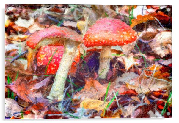 Magic Mushrooms Acrylic by Graham Prentice