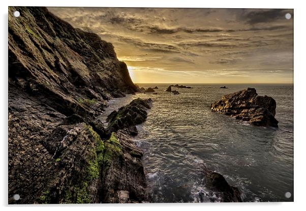 North Devon Coastline Acrylic by Dave Wilkinson North Devon Ph