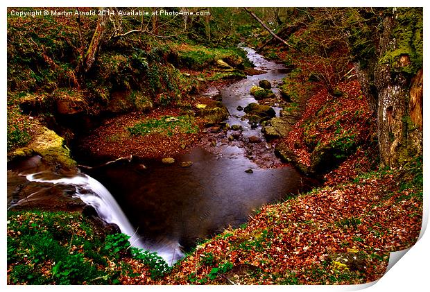 Blow Gill North York Moors Print by Martyn Arnold