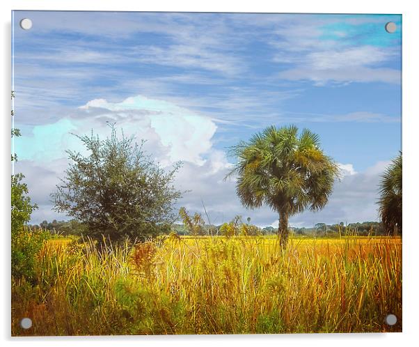 Fall in the Tropics Acrylic by Judy Hall-Folde