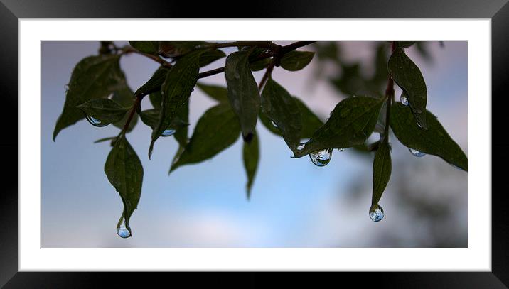 Rain Drops Keep Falling Framed Mounted Print by carol hynes