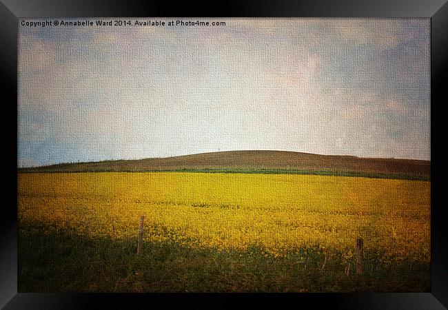 Field of Yellow Framed Print by Annabelle Ward