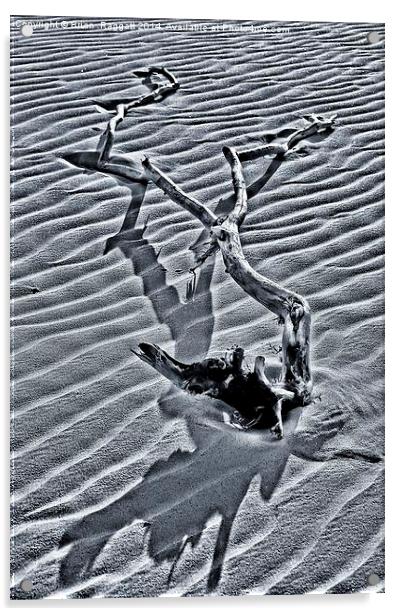 Long Shadows on the Beach Acrylic by Brian  Raggatt
