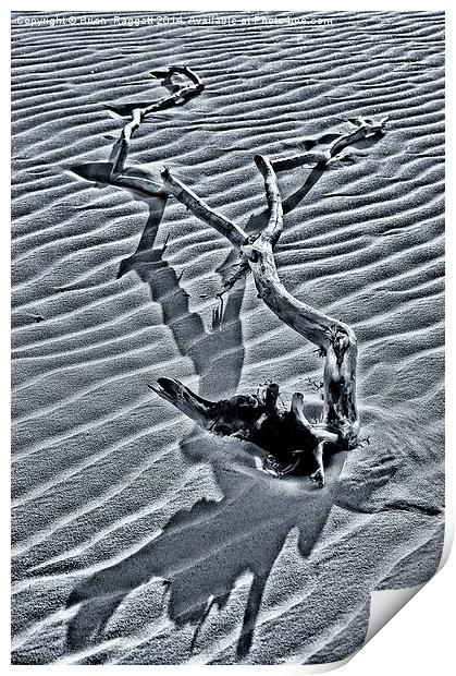 Long Shadows on the Beach Print by Brian  Raggatt