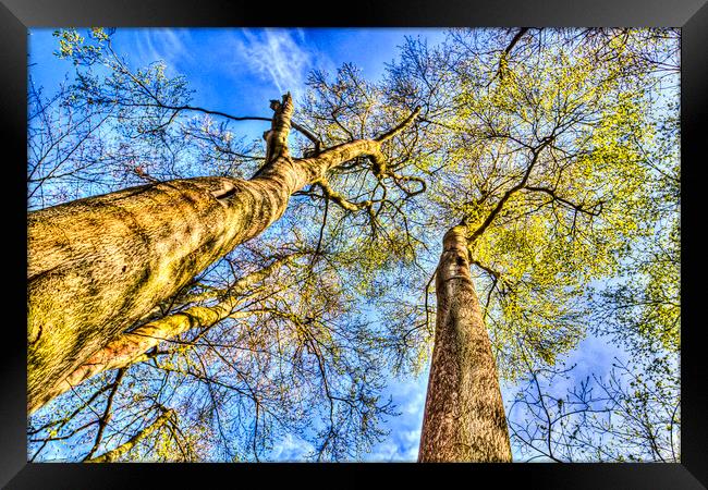 Into The Sky Framed Print by David Pyatt