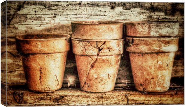 Three Flower Pots Canvas Print by Scott Anderson