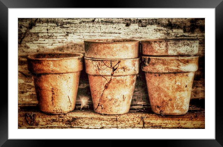 Three Flower Pots Framed Mounted Print by Scott Anderson