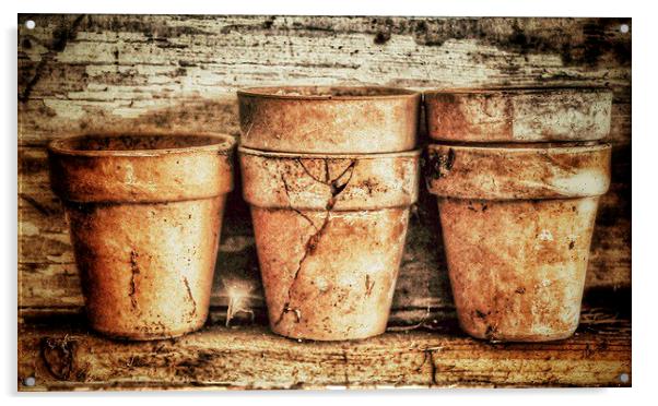 Three Flower Pots Acrylic by Scott Anderson