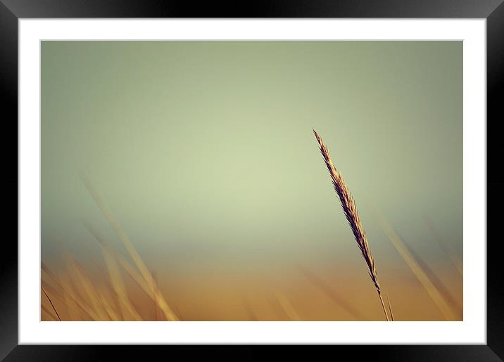 stand alone Framed Mounted Print by rachael hardie