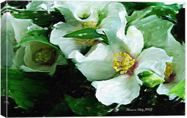 Flowers in Oil Canvas Print by Vivienne Barker