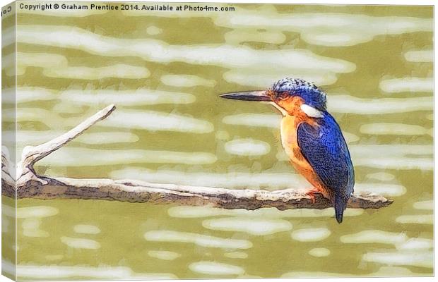 Kingfisher Canvas Print by Graham Prentice