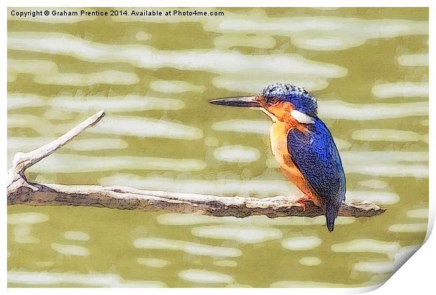Kingfisher Print by Graham Prentice