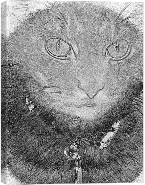 A Cats Life Canvas Print by Thomas Grob