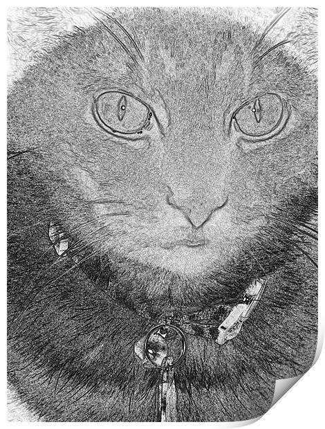 A Cats Life Print by Thomas Grob
