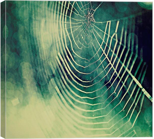 Spiders Web Bokeh Canvas Print by Rosanna Zavanaiu
