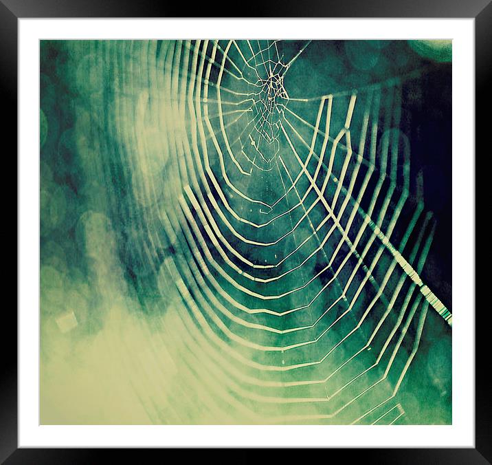 Spiders Web Bokeh Framed Mounted Print by Rosanna Zavanaiu