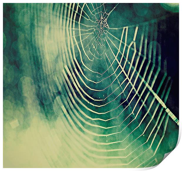 Spiders Web Bokeh Print by Rosanna Zavanaiu