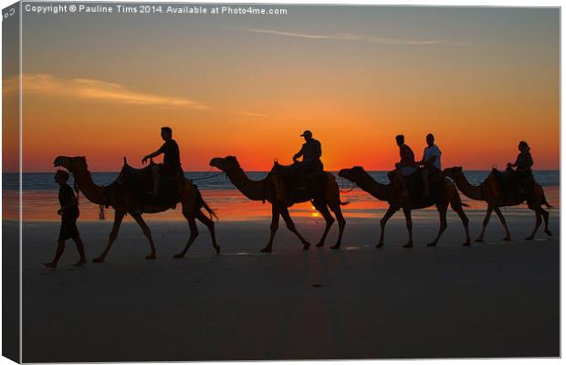 Camels on the Beach at Broome W.A Canvas Print by Pauline Tims