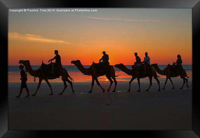Camels on the Beach at Broome W.A Framed Print by Pauline Tims