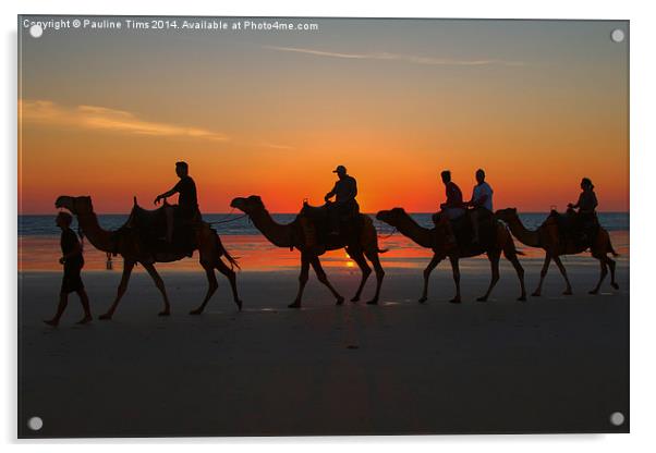Camels on the Beach at Broome W.A Acrylic by Pauline Tims