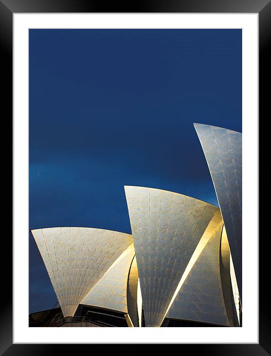 Sydney Opera House sails Framed Mounted Print by Sheila Smart