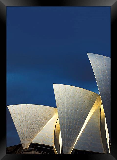 Sydney Opera House sails Framed Print by Sheila Smart