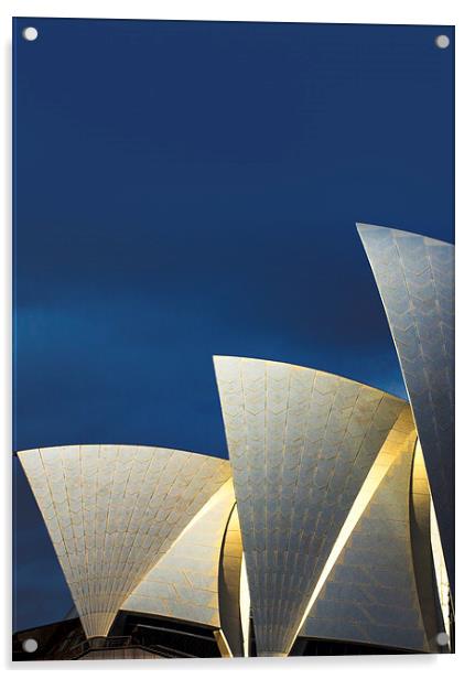 Sydney Opera House sails Acrylic by Sheila Smart