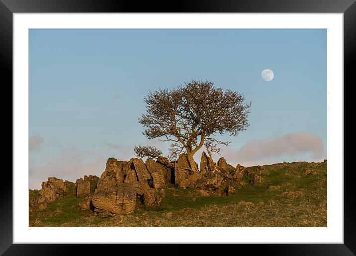 Roystone Rocks Tree and Moon Framed Mounted Print by James Grant