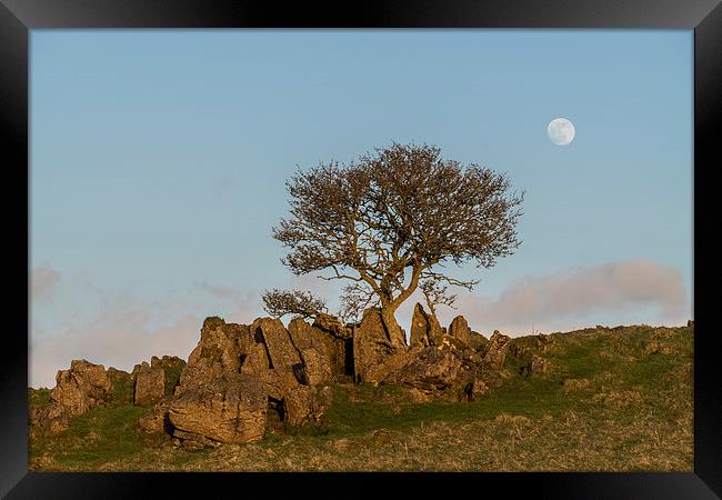 Roystone Rocks Tree and Moon Framed Print by James Grant