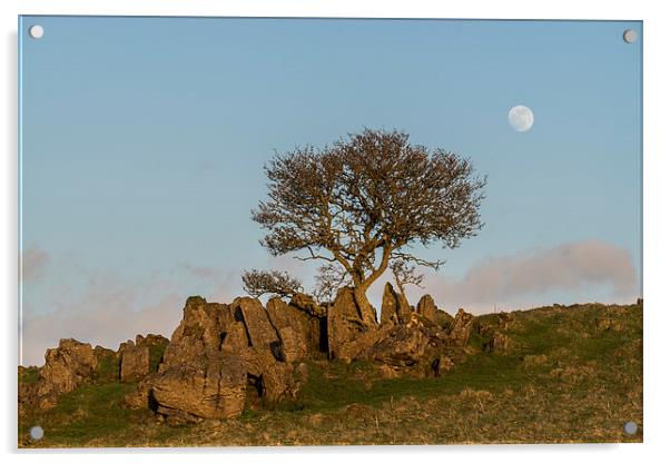 Roystone Rocks Tree and Moon Acrylic by James Grant