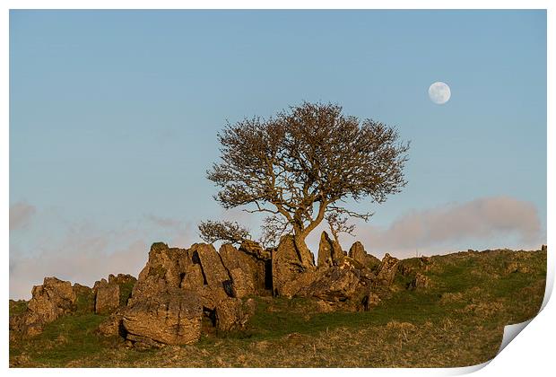 Roystone Rocks Tree and Moon Print by James Grant