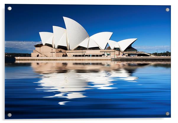 Iconic Sydney Opera House Acrylic by Sheila Smart