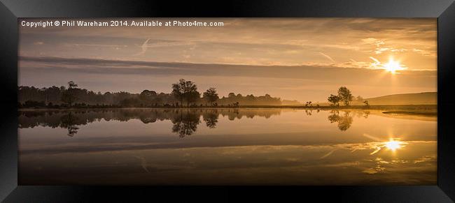 Whitten Pond Sunrise Framed Print by Phil Wareham