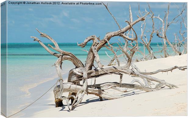 Driftwood - Barbuda Canvas Print by Jonathan Hullock