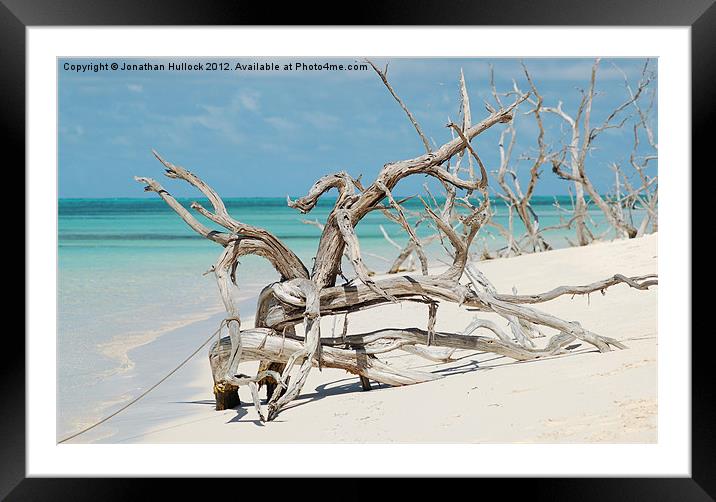 Driftwood - Barbuda Framed Mounted Print by Jonathan Hullock