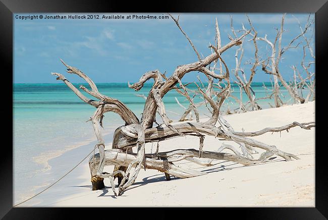 Driftwood - Barbuda Framed Print by Jonathan Hullock