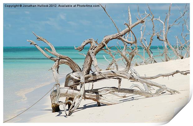 Driftwood - Barbuda Print by Jonathan Hullock