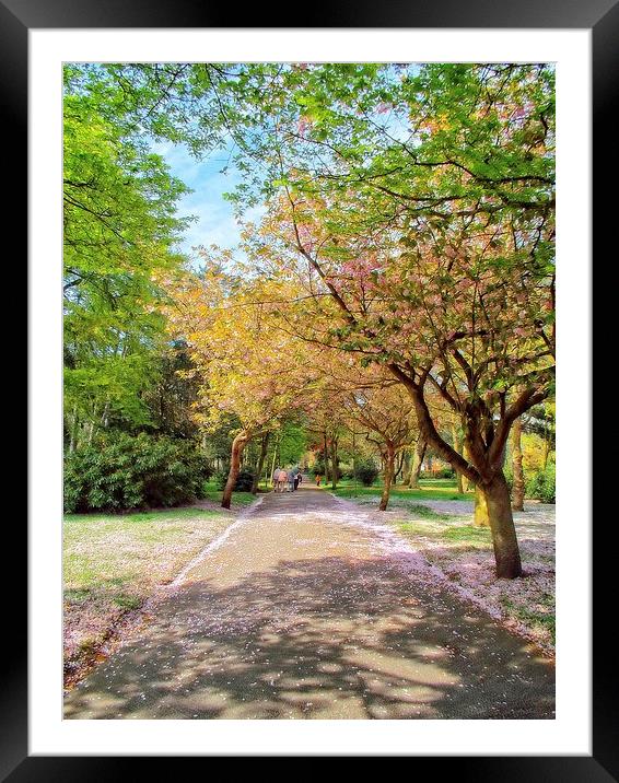 a walk in the park Framed Mounted Print by chrissy woodhouse
