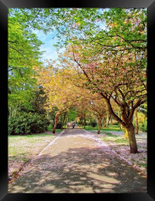 a walk in the park Framed Print by chrissy woodhouse