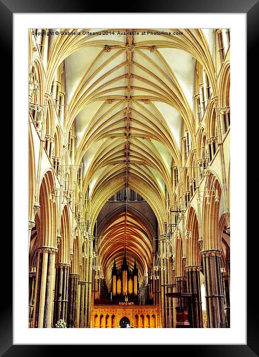 Lincoln Cathedral Framed Mounted Print by Gabriela Olteanu