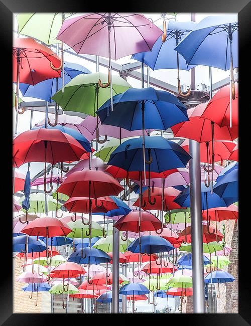 Its Raining... Umbrellas! Framed Print by LensLight Traveler