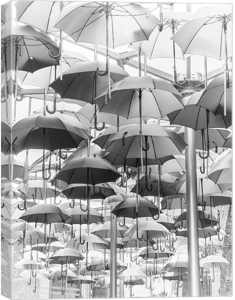 Its Rainin...Umbrellas! Canvas Print by LensLight Traveler