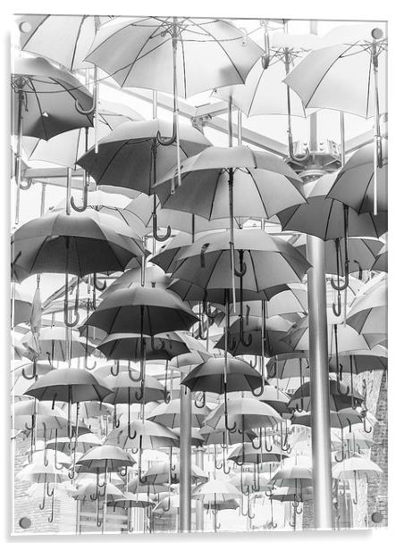 Its Rainin...Umbrellas! Acrylic by LensLight Traveler
