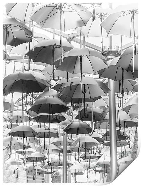 Its Rainin...Umbrellas! Print by LensLight Traveler