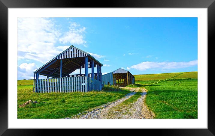 Green Green Grass Of Home Framed Mounted Print by Andrew Middleton