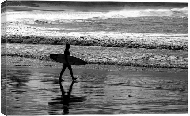 The Surfer Canvas Print by Sheila Smart