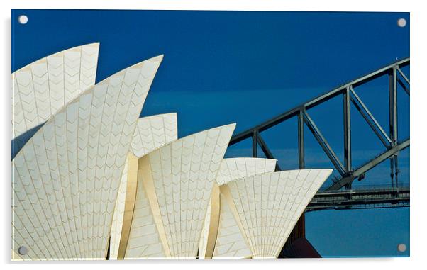 Sydney Opera House with bridge backdrop Acrylic by Sheila Smart