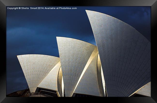 Sydney Opera House Framed Print by Sheila Smart