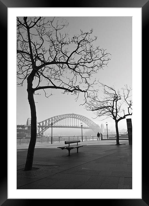 Misty Sydney morning Framed Mounted Print by Sheila Smart